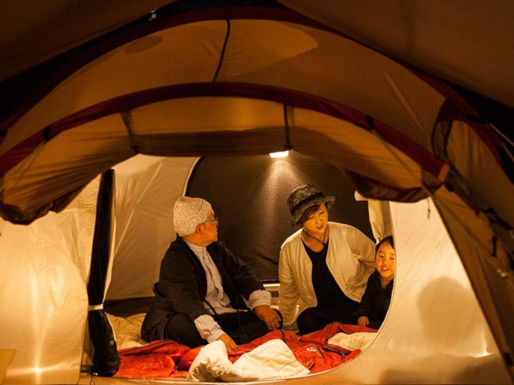 Weiand dual-plane intake on engine