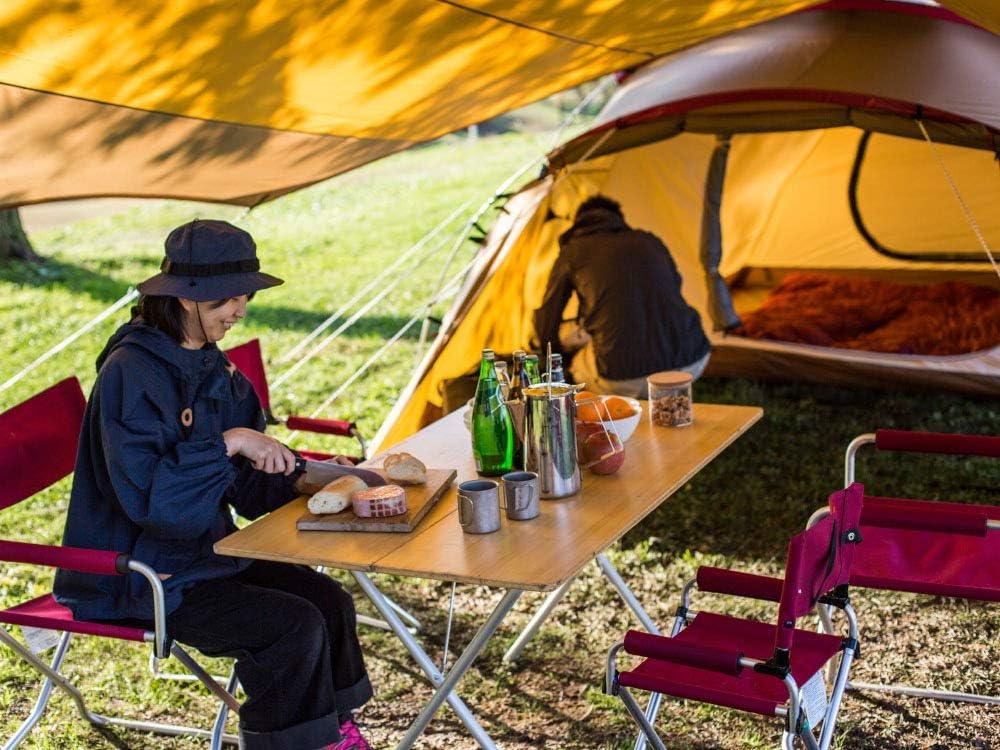 Weiand dual-plane intake on engine